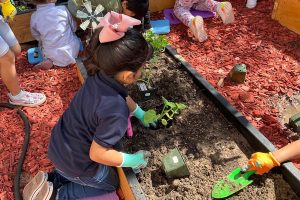 Healthy Kids Healthy Preschool Program Photo